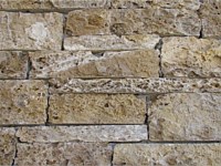 Austin Limestone